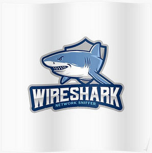 Wireshark 4.2.3 + Portable (x64)