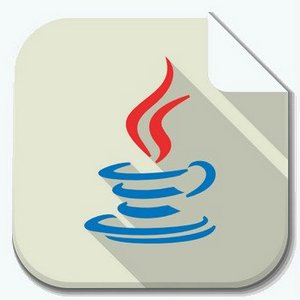 Java SE Development Kit 11.0.22 LTS